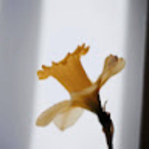 Meet your Posher, Griselda